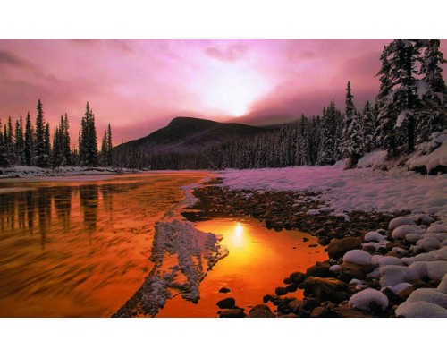 Desk Calendar DC11